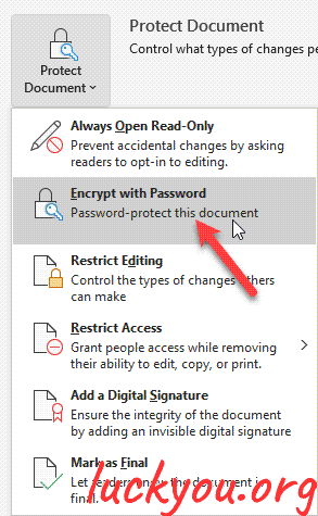 how to protect your Microsoft Word document with a password