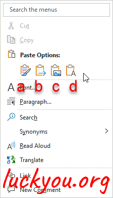 Paste Options in Microsoft Office Word