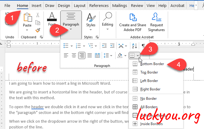 how to insert a line in Microsoft Word