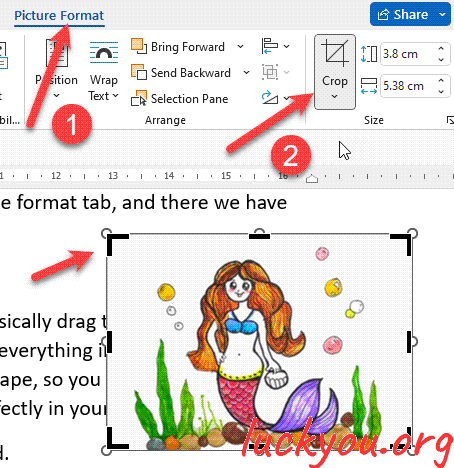 how to crop a picture in Microsoft Word