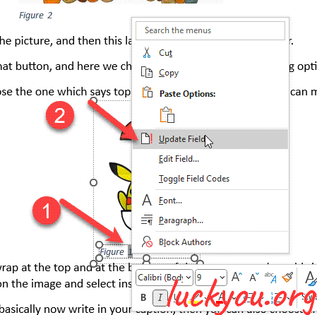 how to insert a picture caption in Microsoft Word